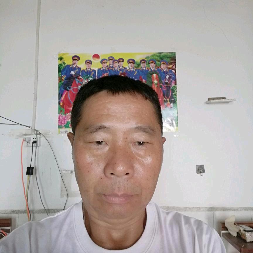 奥迪伍