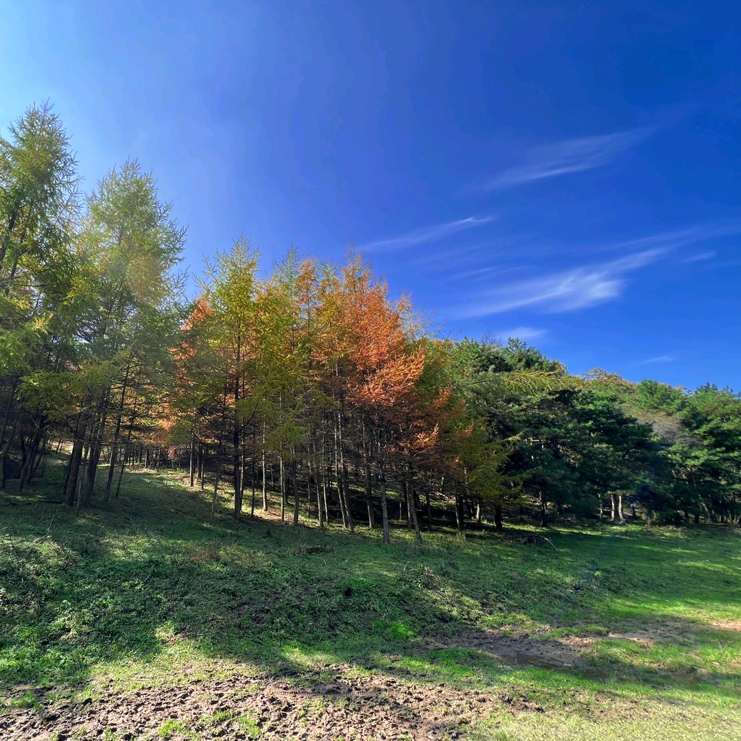 追忆υ风行万里