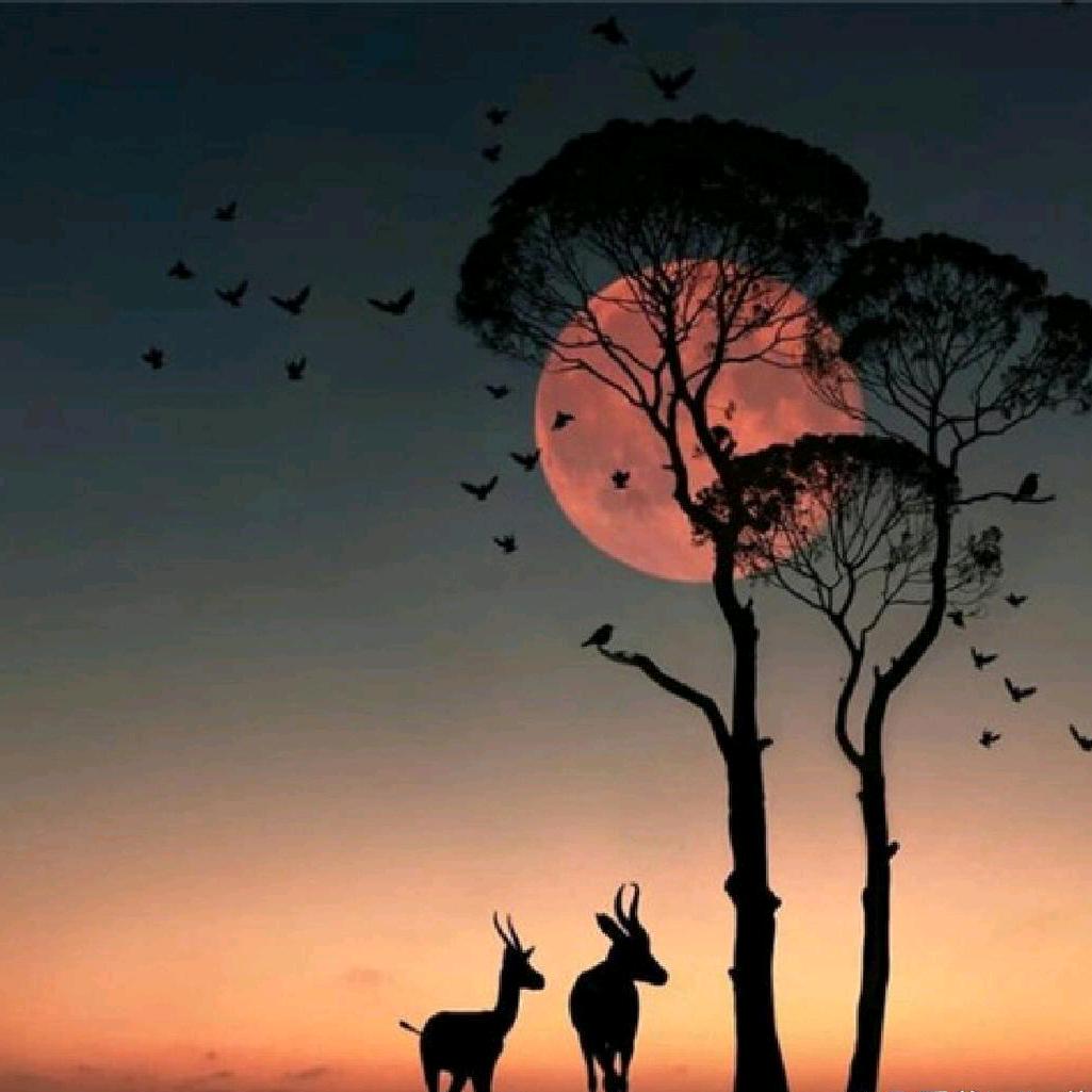 孤身一人闯天下。