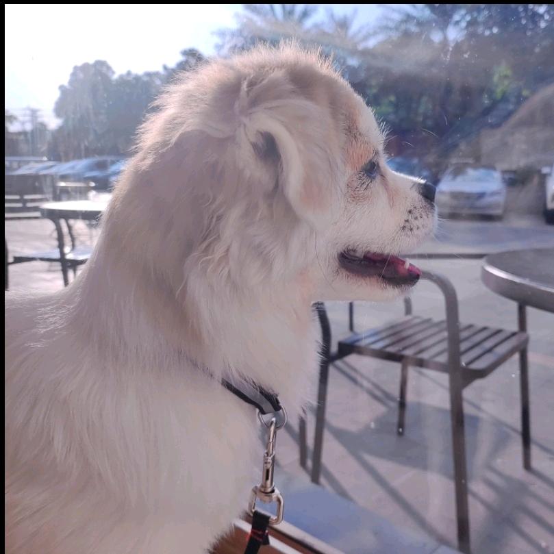 是林宁不是李宁