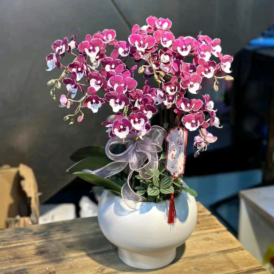 上海迈贵达产业园