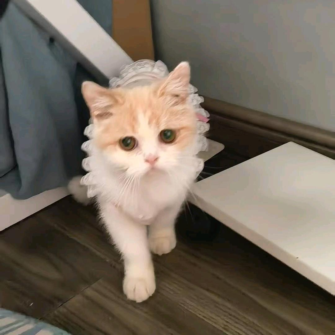 事少a钱快