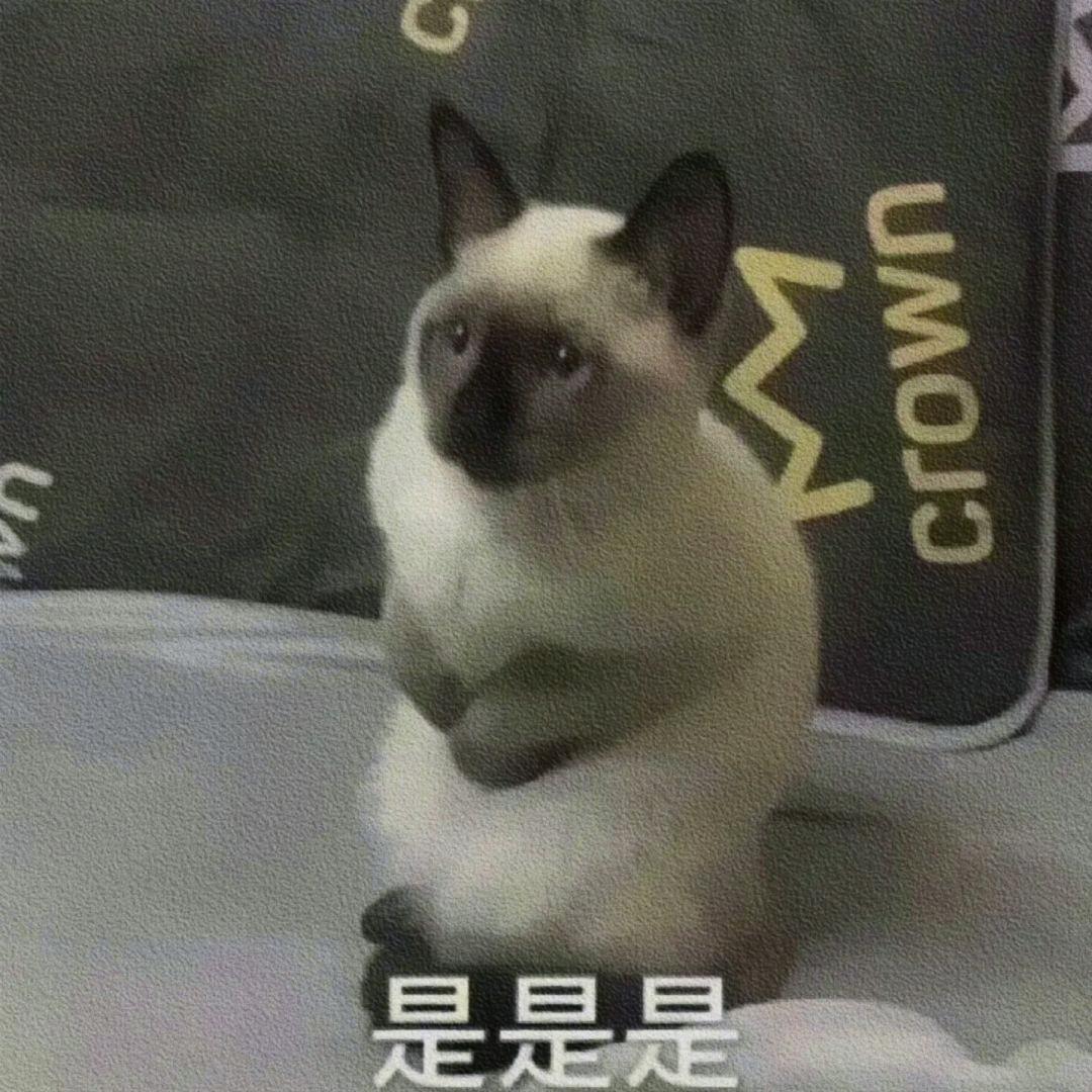 摆烂急先锋