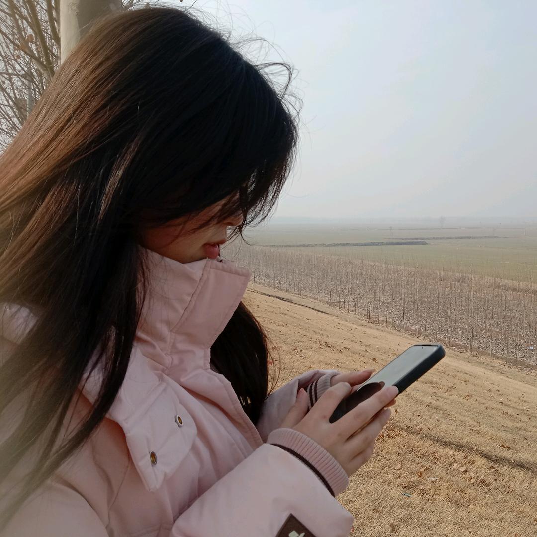 小安宁，牡丹鹦鹉