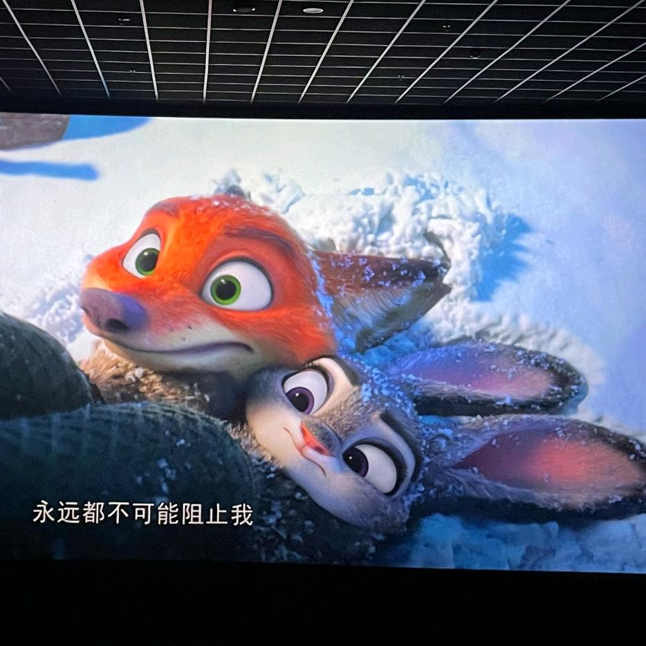 LiiYii 💕（直播号）