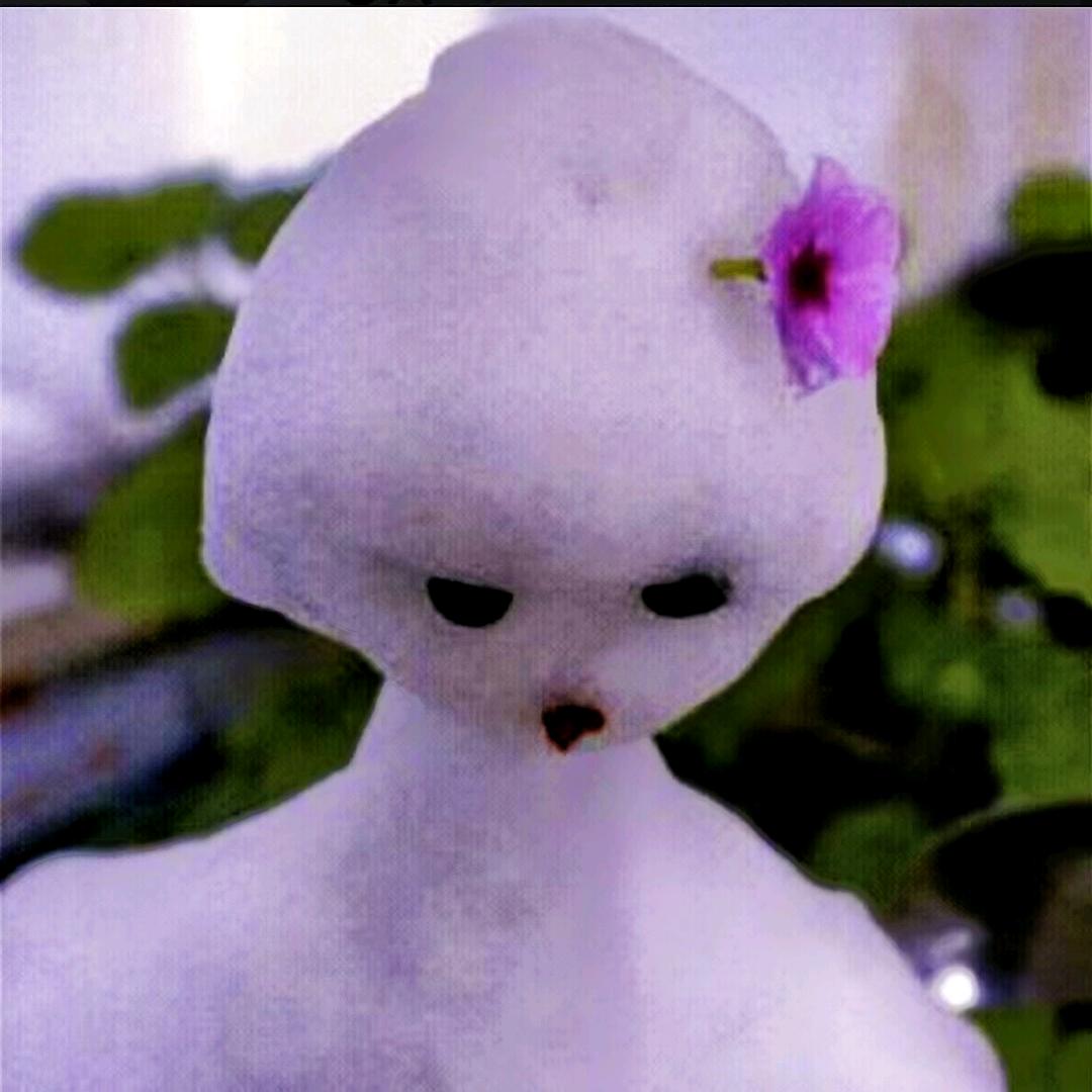 飞雪迎春（拒私聊）