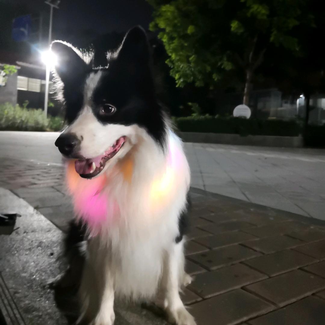 云不知深处头像
