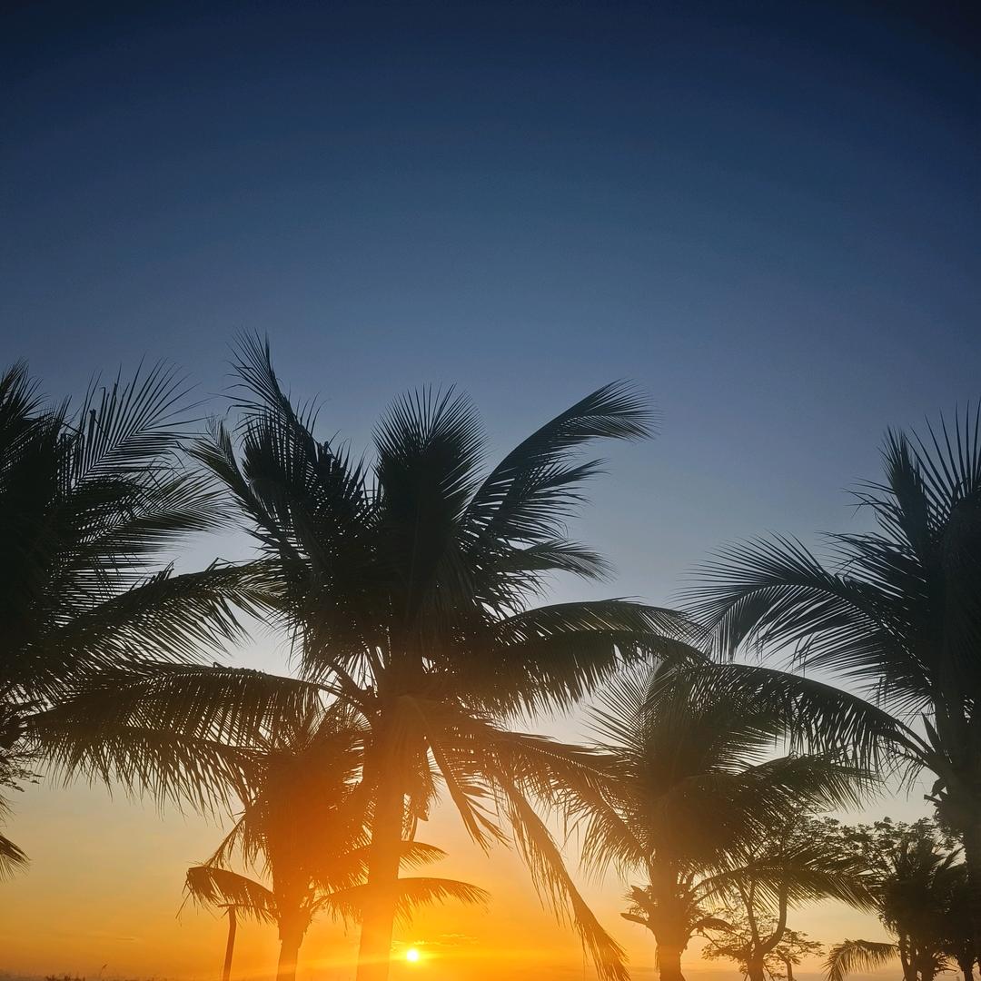 扬  扬~模具配件