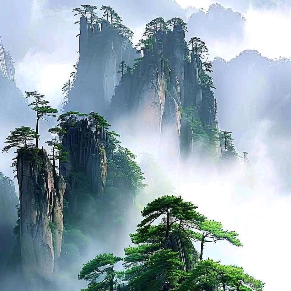 【东北二锅头《晓诸葛》】