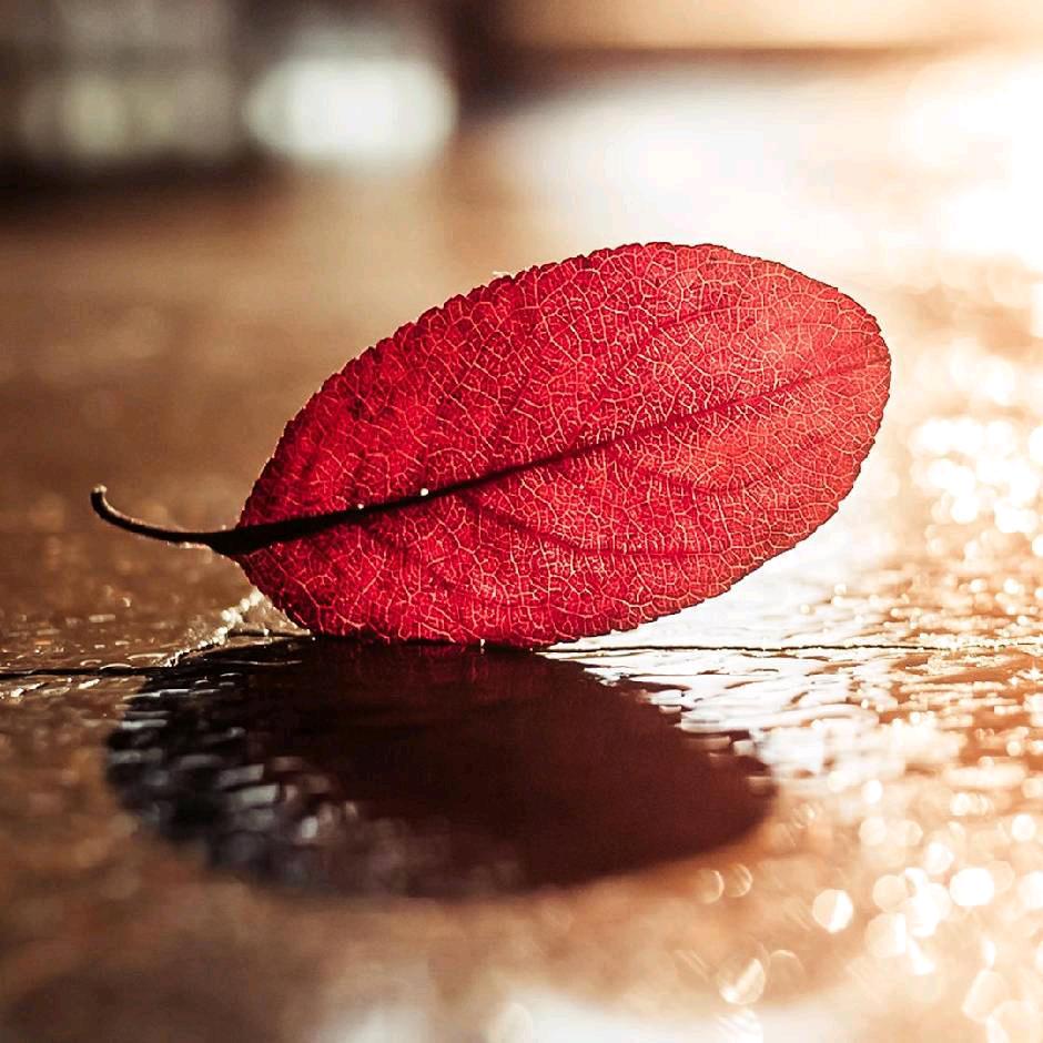 雅舍养生百货仓