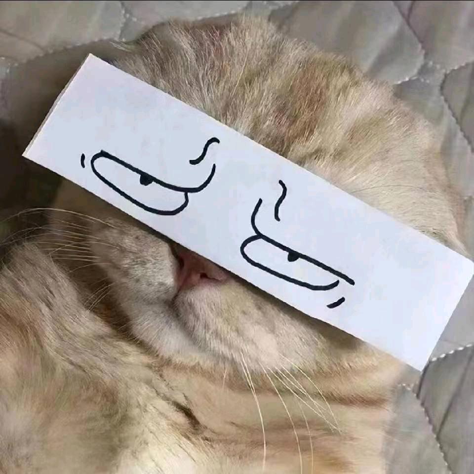 去码头整点薯条