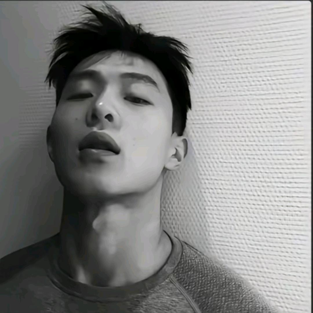 摘星