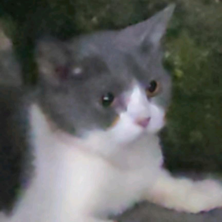 讨厌下雨🙁