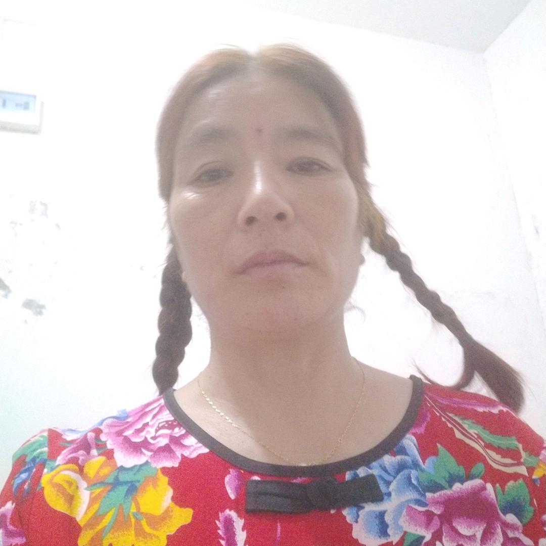 杨柳依依