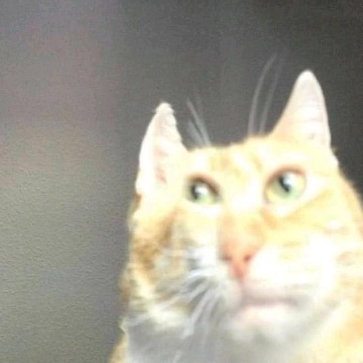 他们都叫我帅强