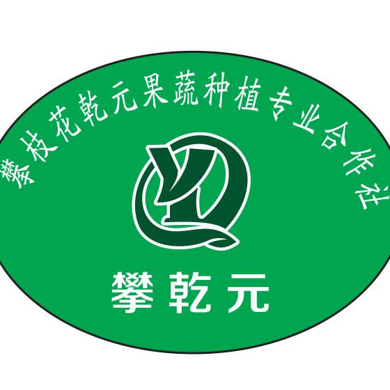 攀枝花乾元果蔬种植专业合作社