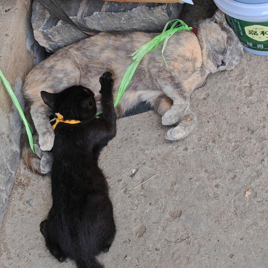 爱江山更爱美人😈😈