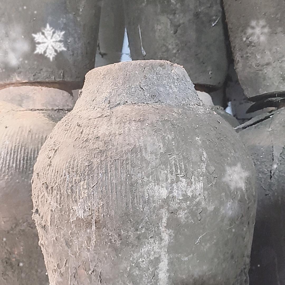 金寿坊酒