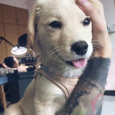 刘博，