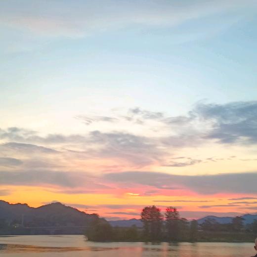 浪迹，