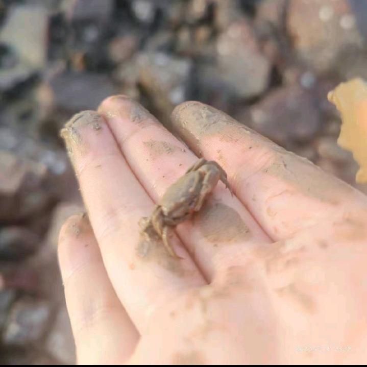 沉默不语.
