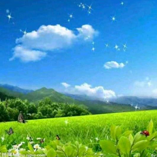 你是我的唯一🌿🐒🌷