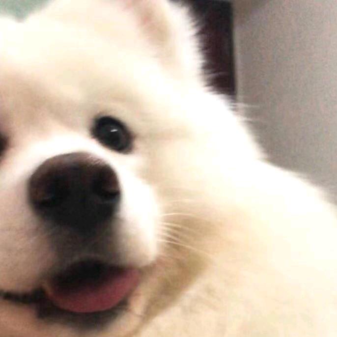 叶梓秋