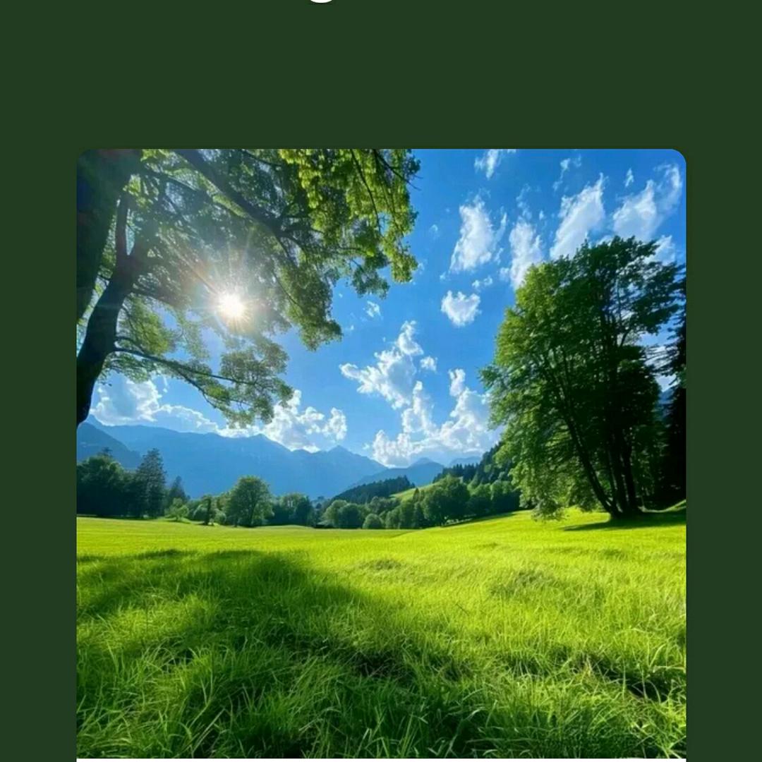 租车诚信赢天下