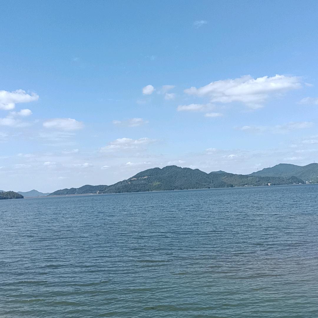 夜雨的梦