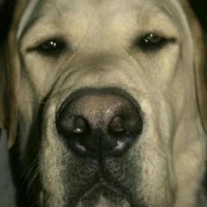 135982