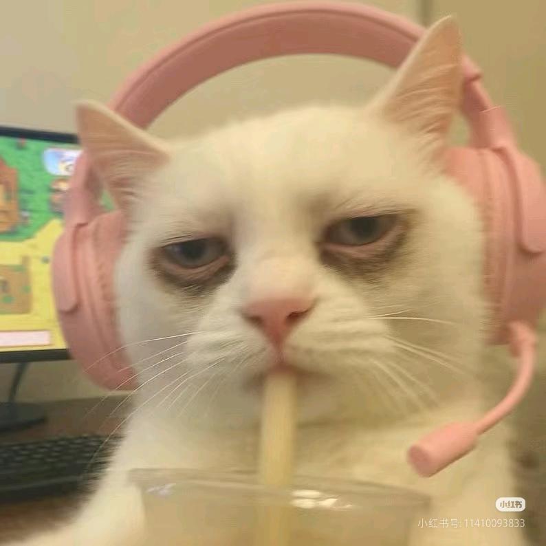 ™🌈﹍啊哈 丶