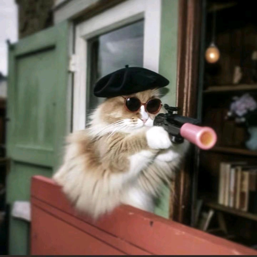 楊 Oi～～～～～～～