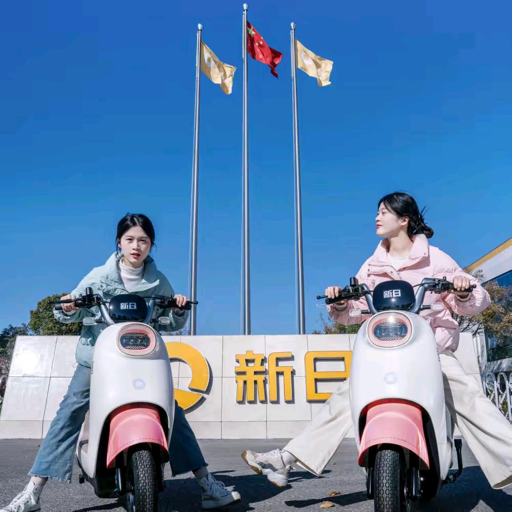 李庄新日电动车