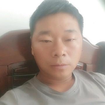 孤独猎鹰