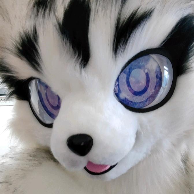 嘎嘎猫