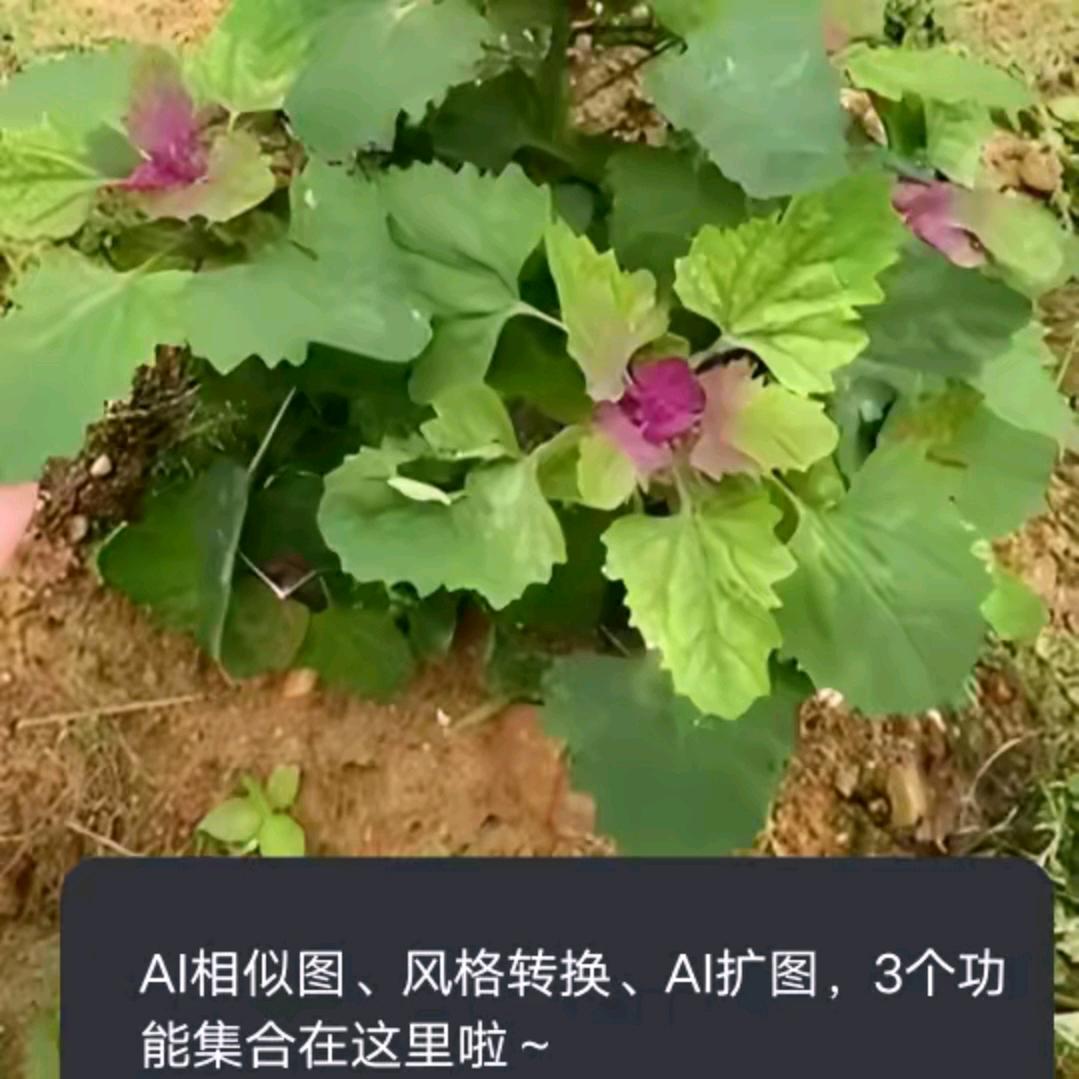 开心快乐伴随着我