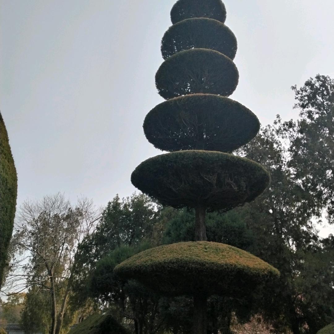 相逢是缘陳