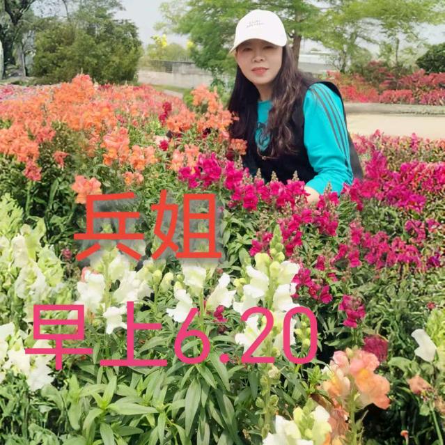 兵姐首播，每天早上6:20