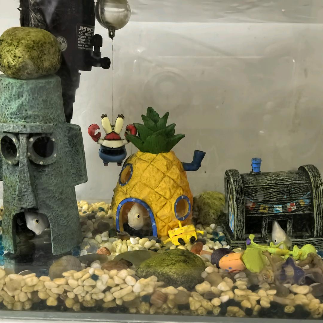 大蟹酥（学英语版）