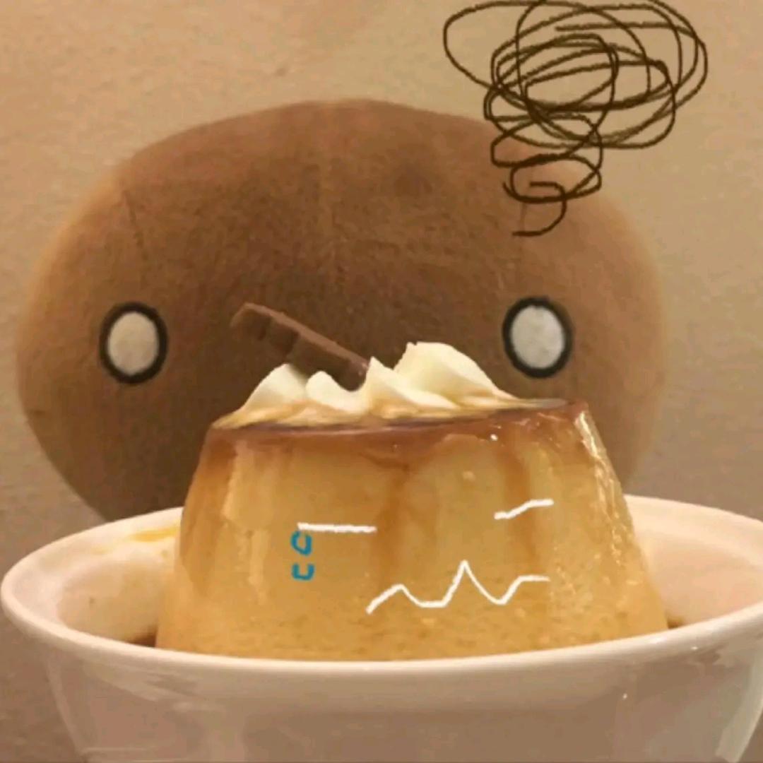 宅系熊