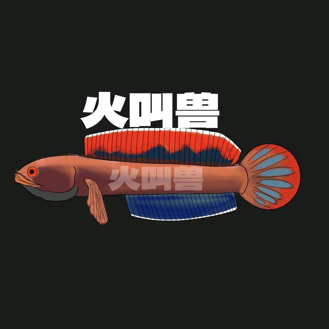 火叫兽✨《只玩火背》