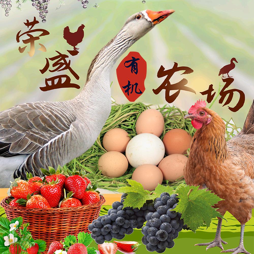 山东荣盛有机农场