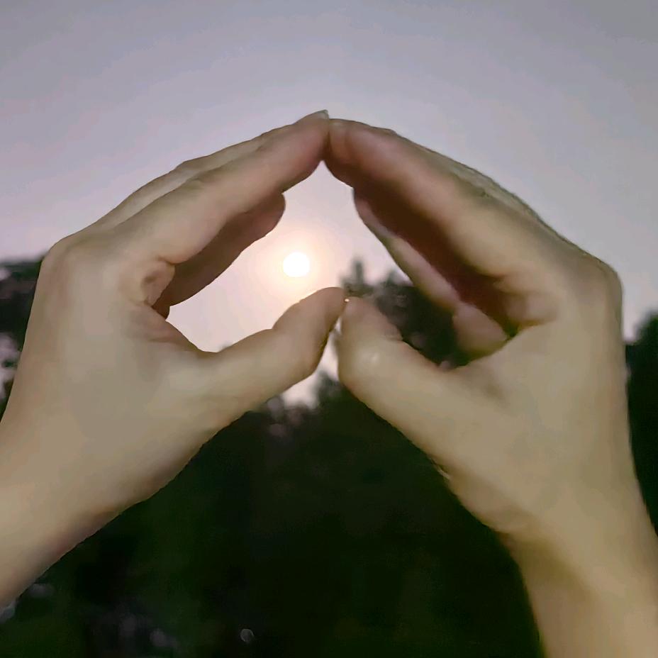 起手小白