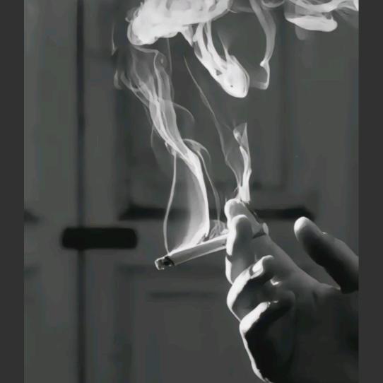 孤༒影࿇独༗行