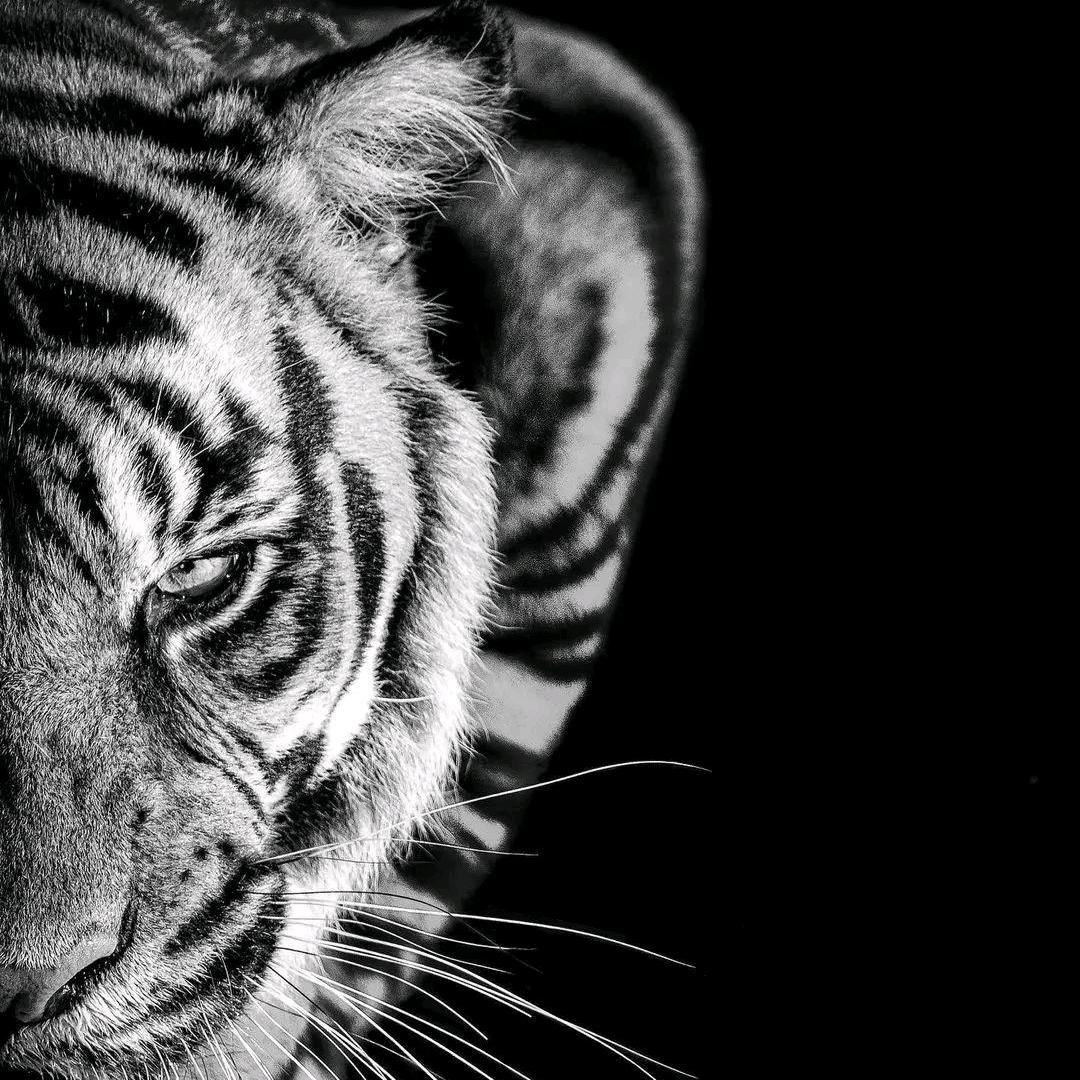 兜里只剩一分钱