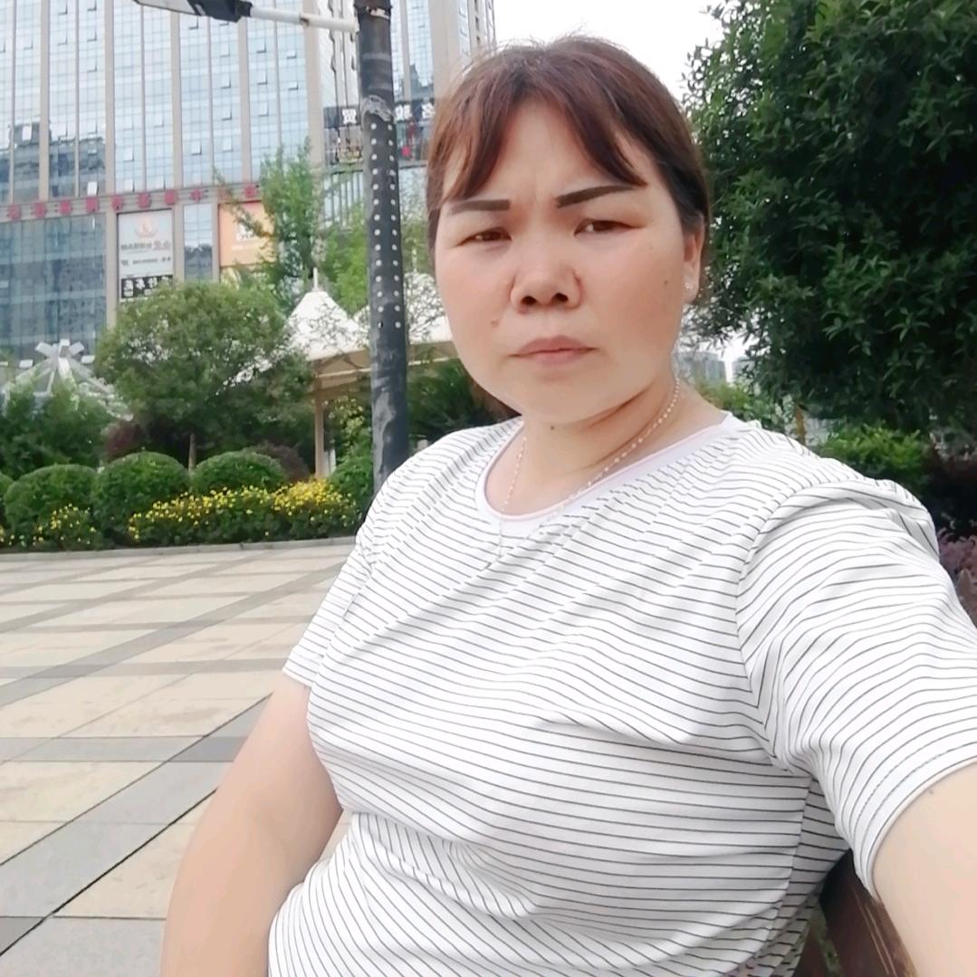 杨木琴