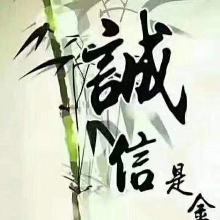 冬天的阳光