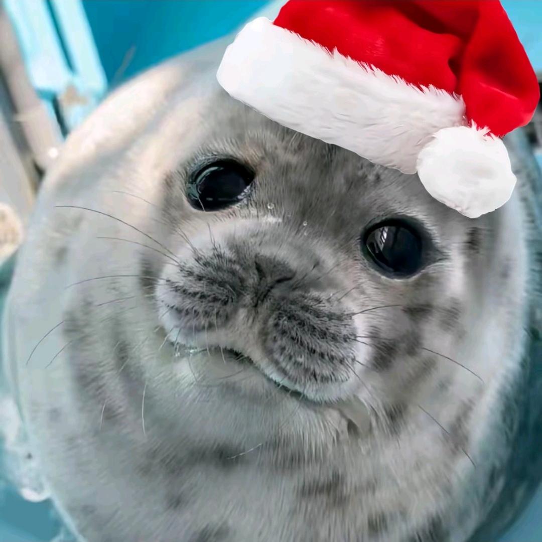 宁宁宁羽始一一一一