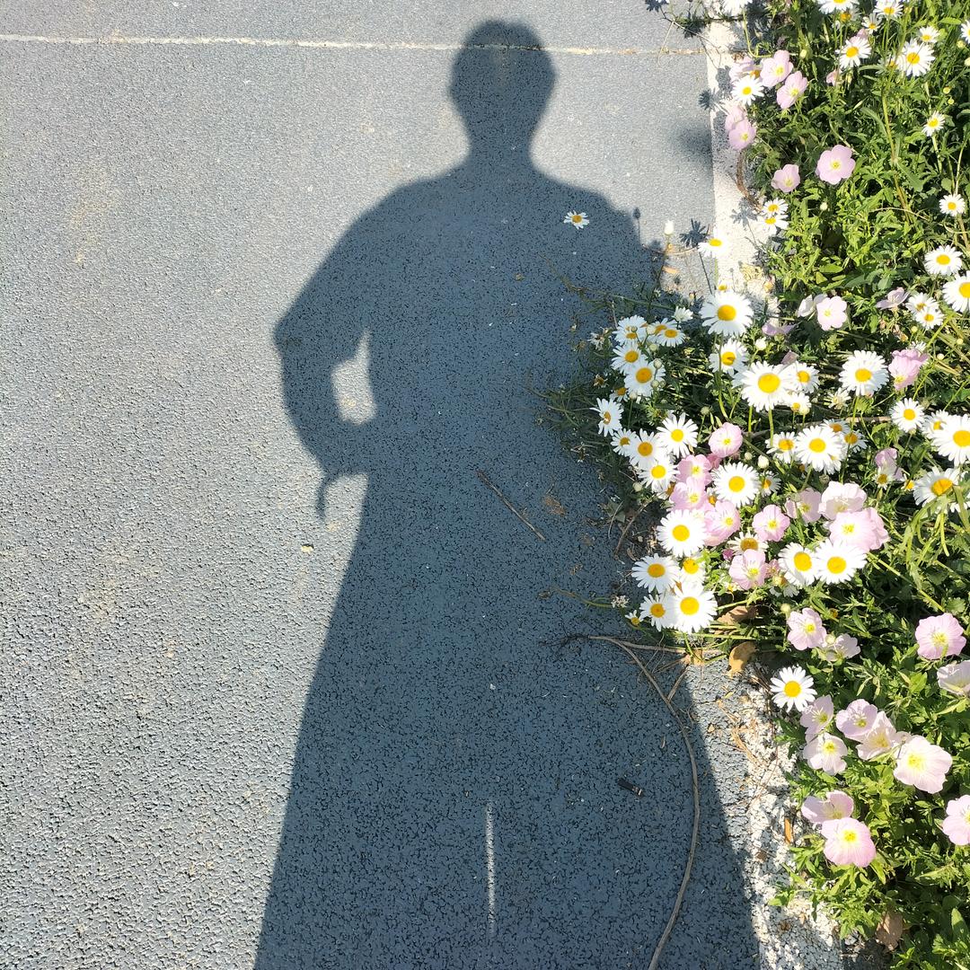 皮蛋瘦肉粥加糖（涨粉中，关必回）