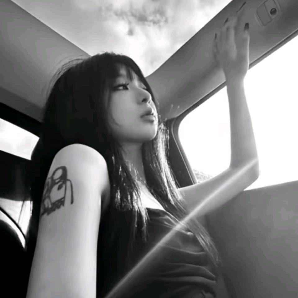 11宝.